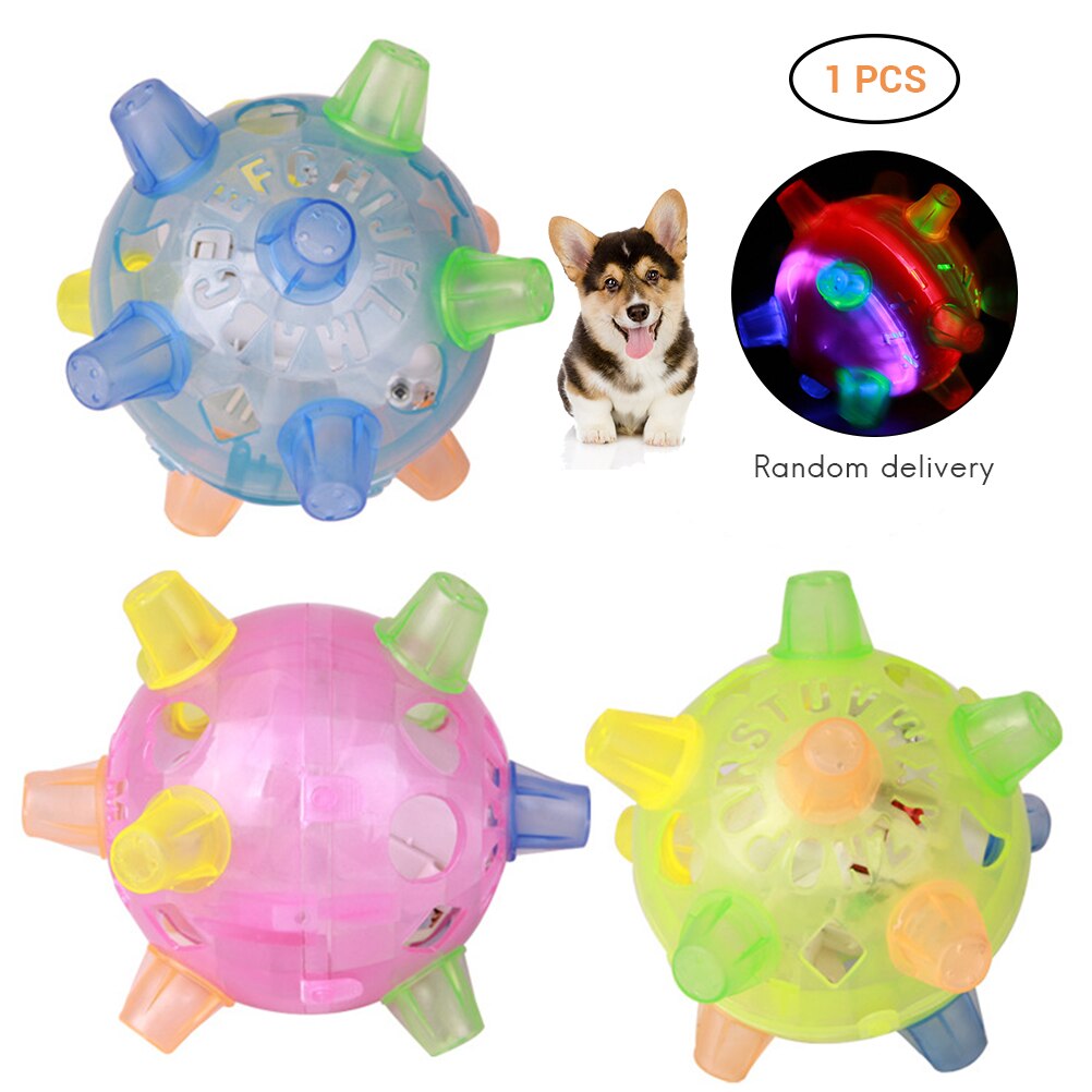 LED Ball Pet Toy