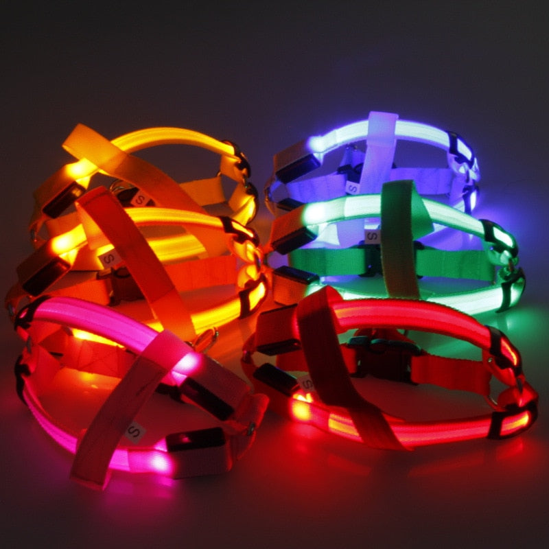 Nylon Pet Safety LED Harness