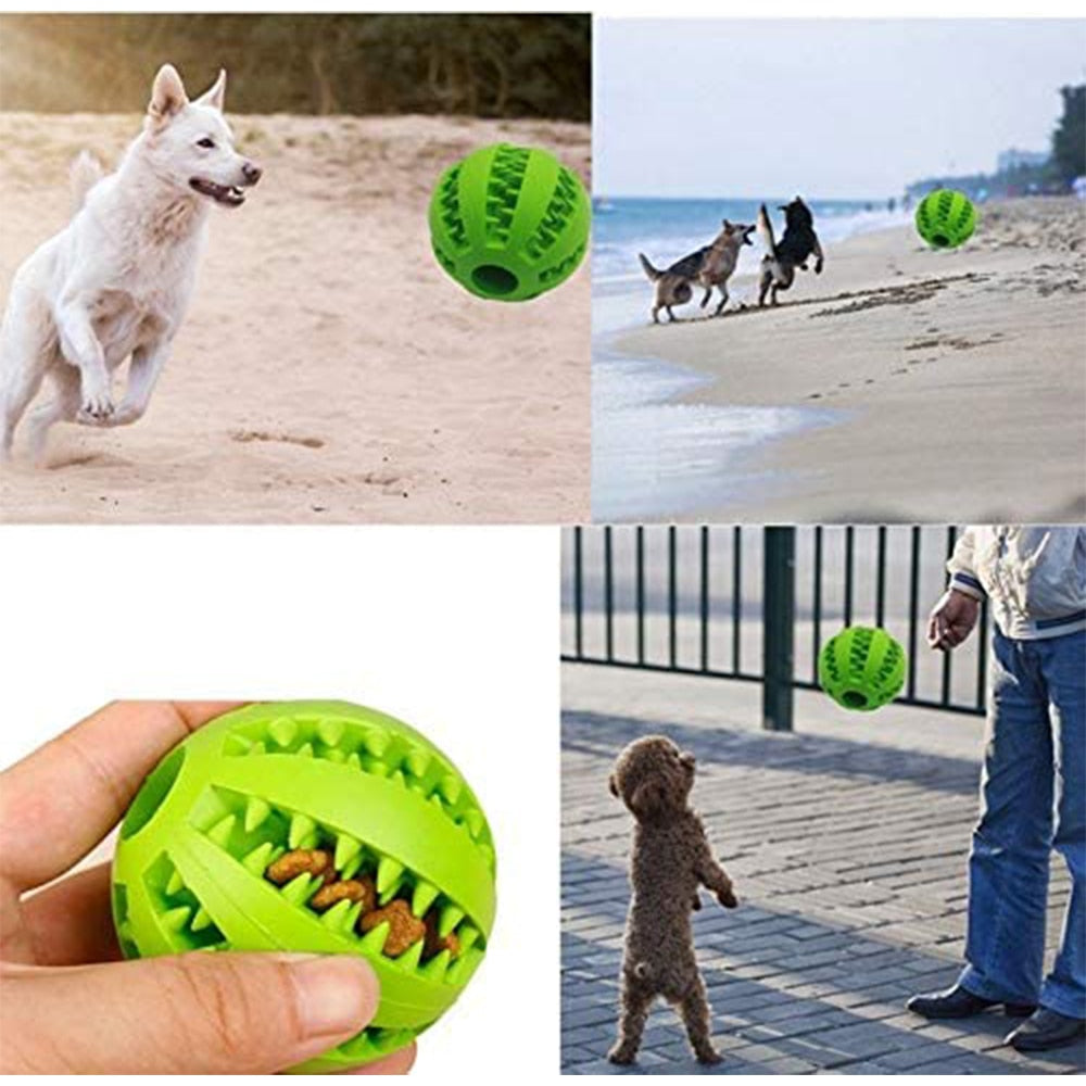 Rubber Ball Dog Chewing Toy