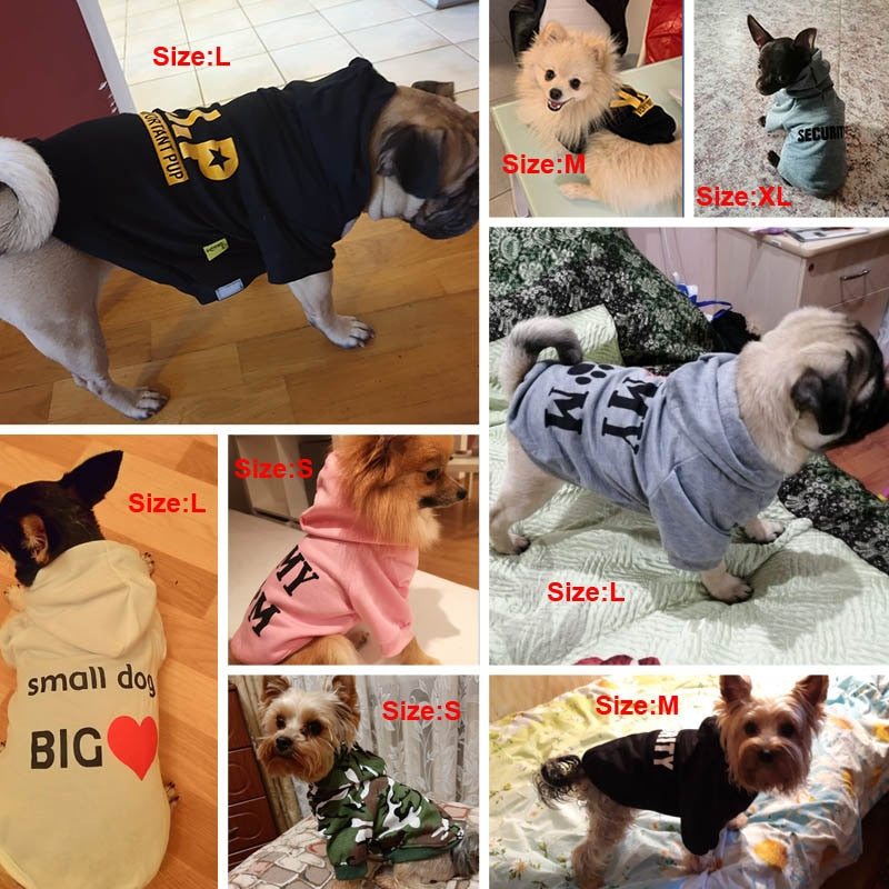 Dog Wear with Hoodie