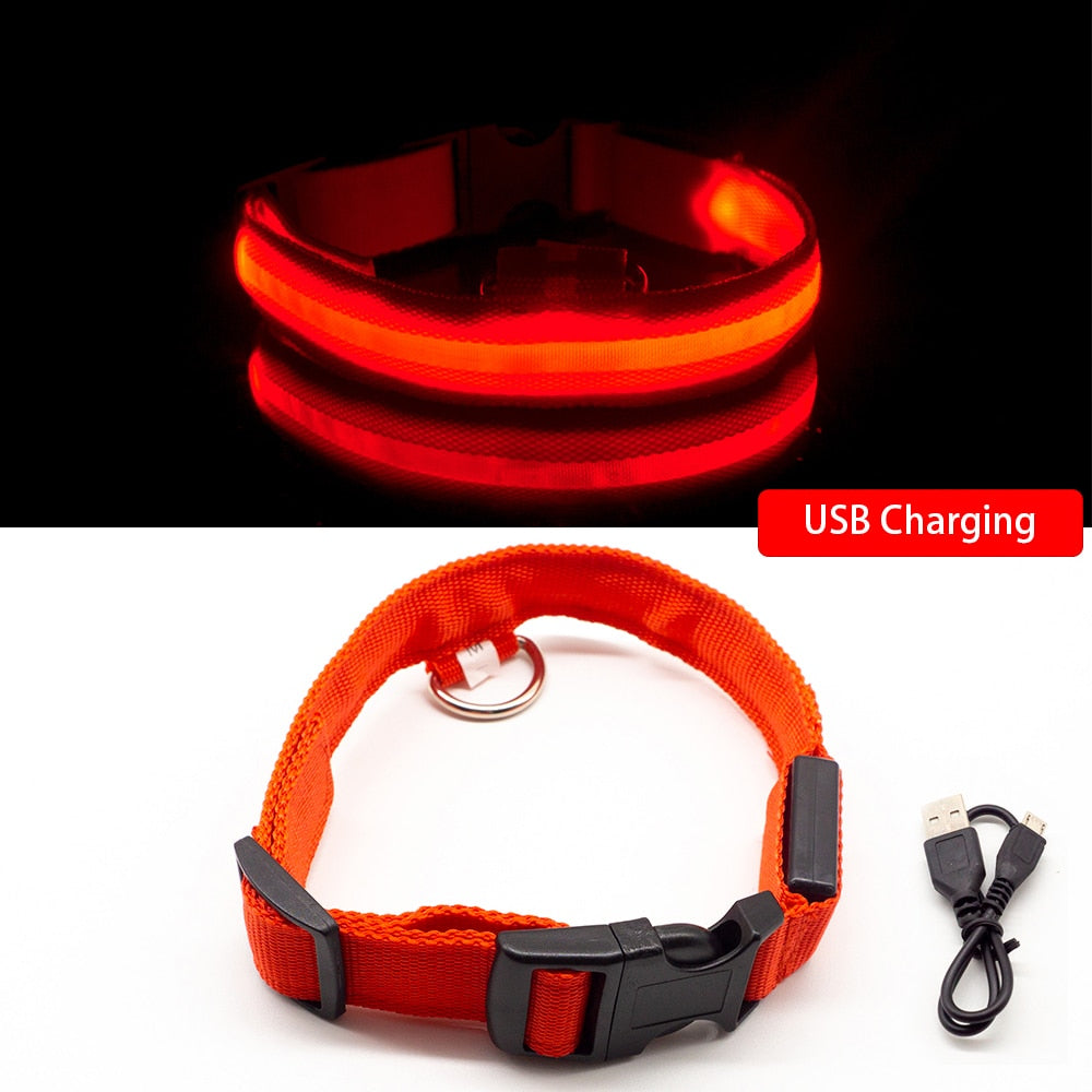 Led Dog Collar