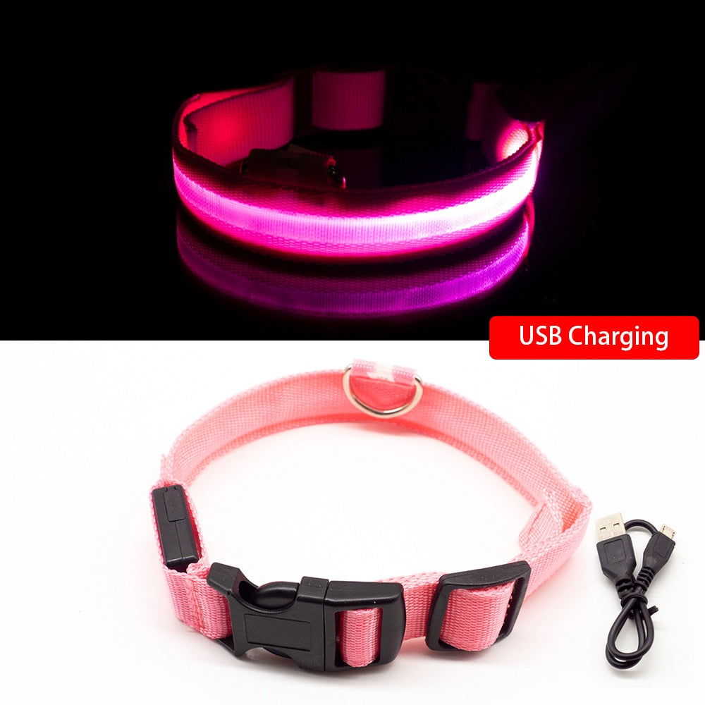 Led Dog Collar