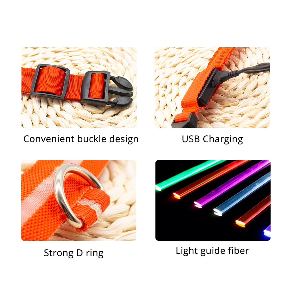 Led Dog Collar