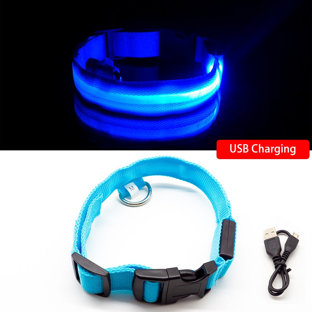 Led Dog Collar