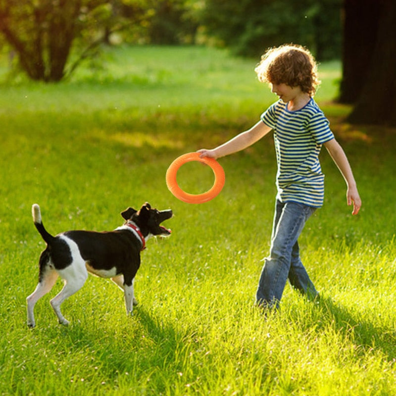 Dog Interactive Training Rubber Ring Toy