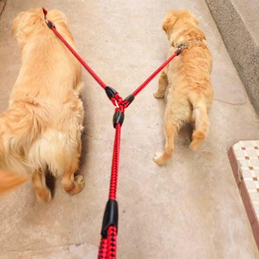 2 Way Braided Nylon Dual Dog Leash