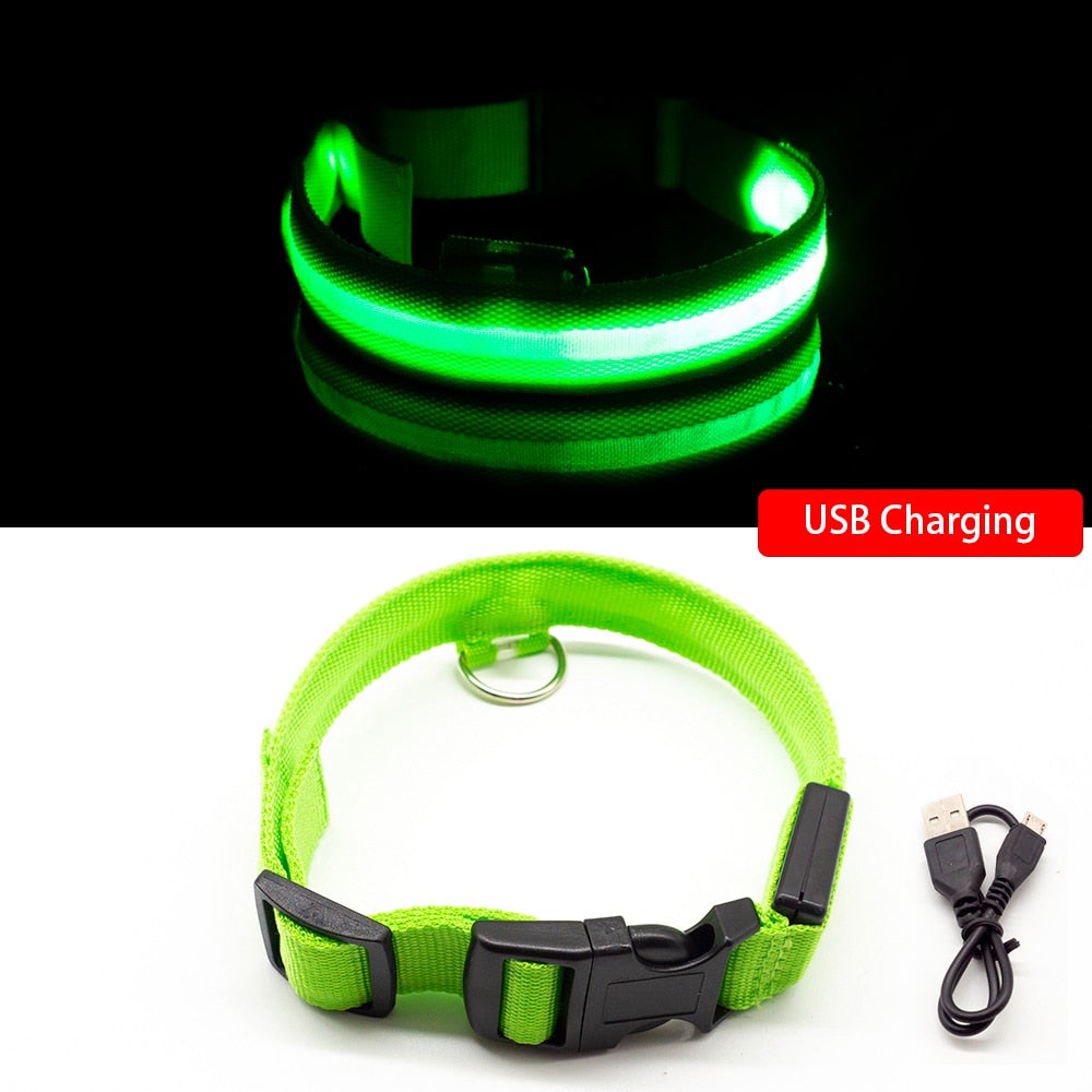 Led Dog Collar