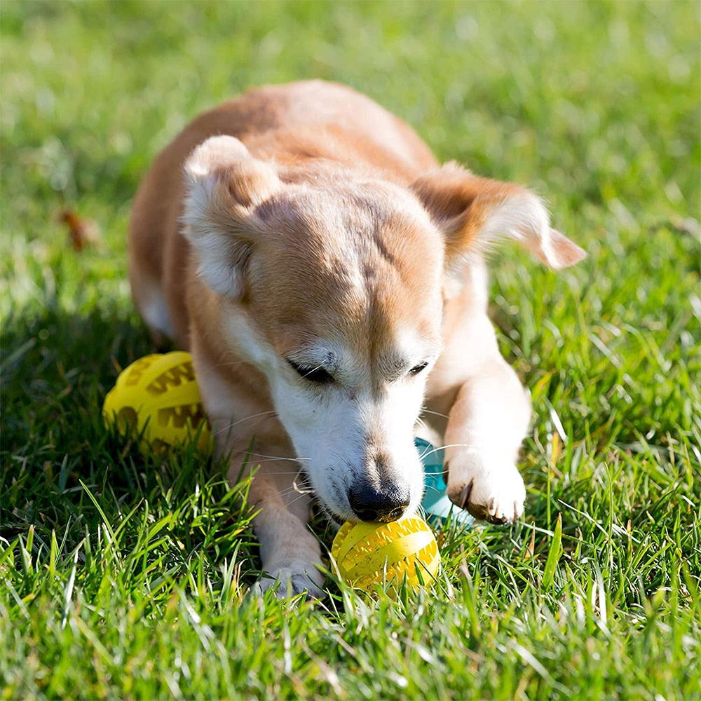 Rubber Ball Dog Chewing Toy