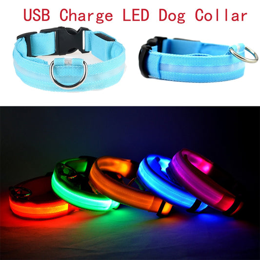 Led Dog Collar